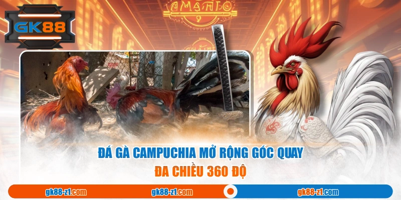 Đá Gà Campuchia mở rộng góc quay đa chiều 360 độ