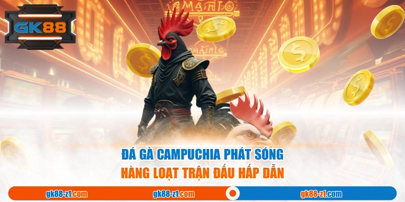 Đá Gà Campuchia phát sóng hàng loạt trận đấu hấp dẫn