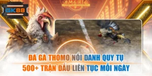 Đá Gà Thomo Nổi Danh Quy Tụ 500+ Trận Đấu Liên Tục Mỗi Ngày