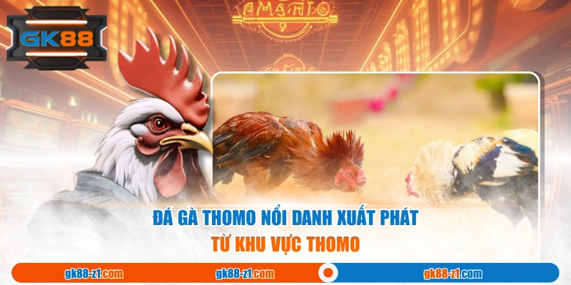 Đá Gà Thomo nổi danh xuất phát từ khu vực Thomo