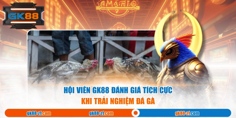Hội viên GK88 đánh giá tích cực khi trải nghiệm Đá Gà