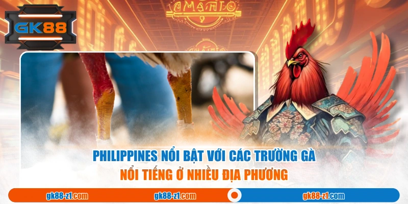 Philippines nổi bật với các trường gà nổi tiếng ở nhiều địa phương