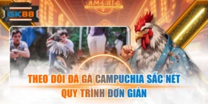 Theo Dõi Đá Gà Campuchia Sắc Nét, Quy Trình Đơn Giản