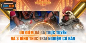 Ưu Điểm Đá Gà Trực Tuyến Và 3 Hình Thức Trải Nghiệm Cơ Bản
